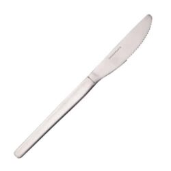 Jedalensky cateringovy noz 21 cm.jpg